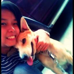 cokai_cute's profile picture. a choleric - sanguine kind of person!