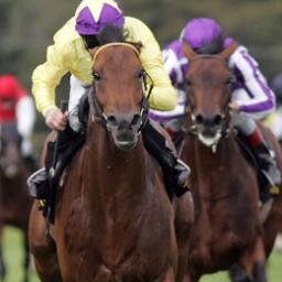 Free horse racing tipping selections. We strive to find value and winners! (Can't promise either)