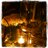 leeloomayes's profile image