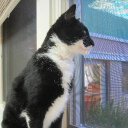 Donna Fleming - @Df39Donna - Twitter