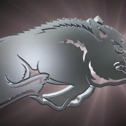 Born and Bred Arkansas Razorback!