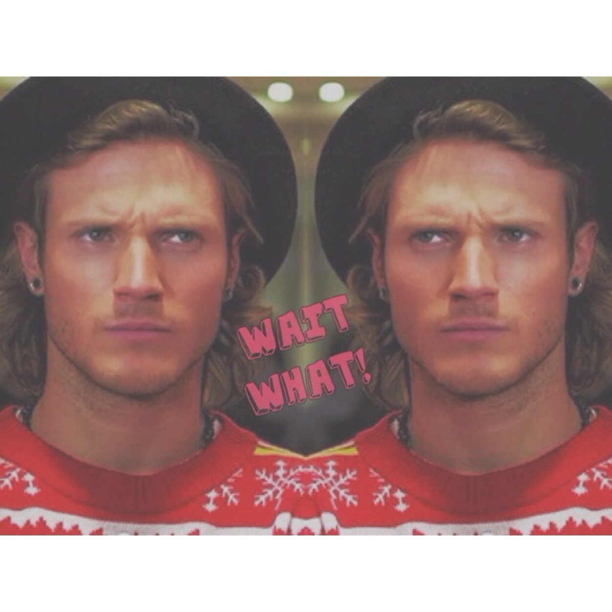 poynlover's profile picture. ''my brain begins to work stuff out,but then kinda halfway through,it starts wandering off and it's like..ahh..unicorns.''