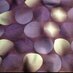 Purple Polka Dottie (@purpledottie) Twitter profile photo
