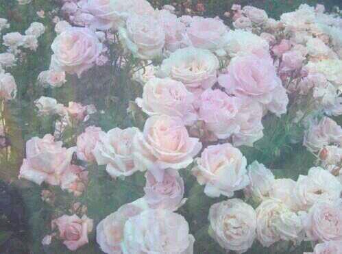 ‏‏استغفر الله ~