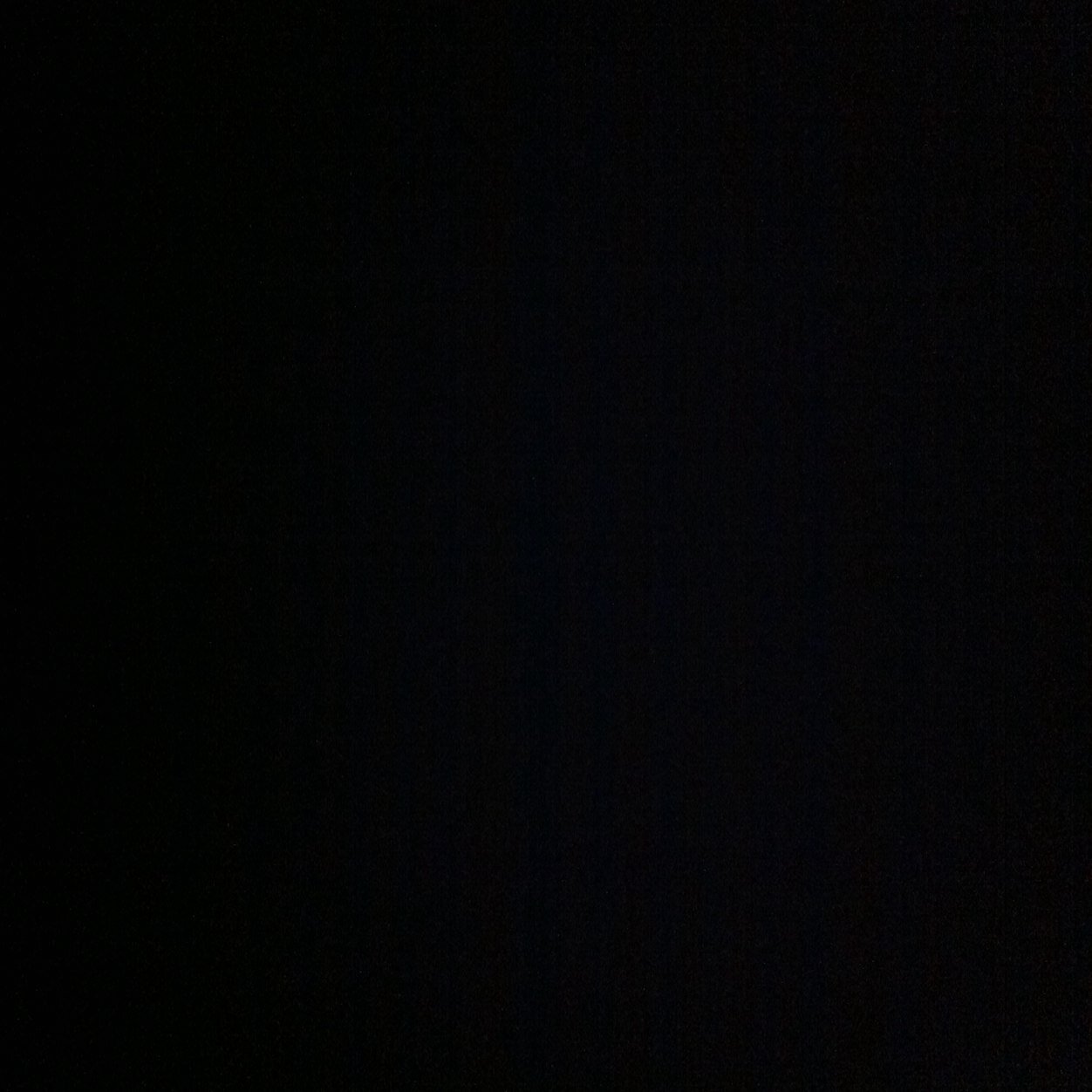 BossBytchsh_t's profile picture. 