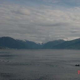 pmteigen's profile picture. 