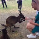 Rob Carman - @robbie_car - Twitter