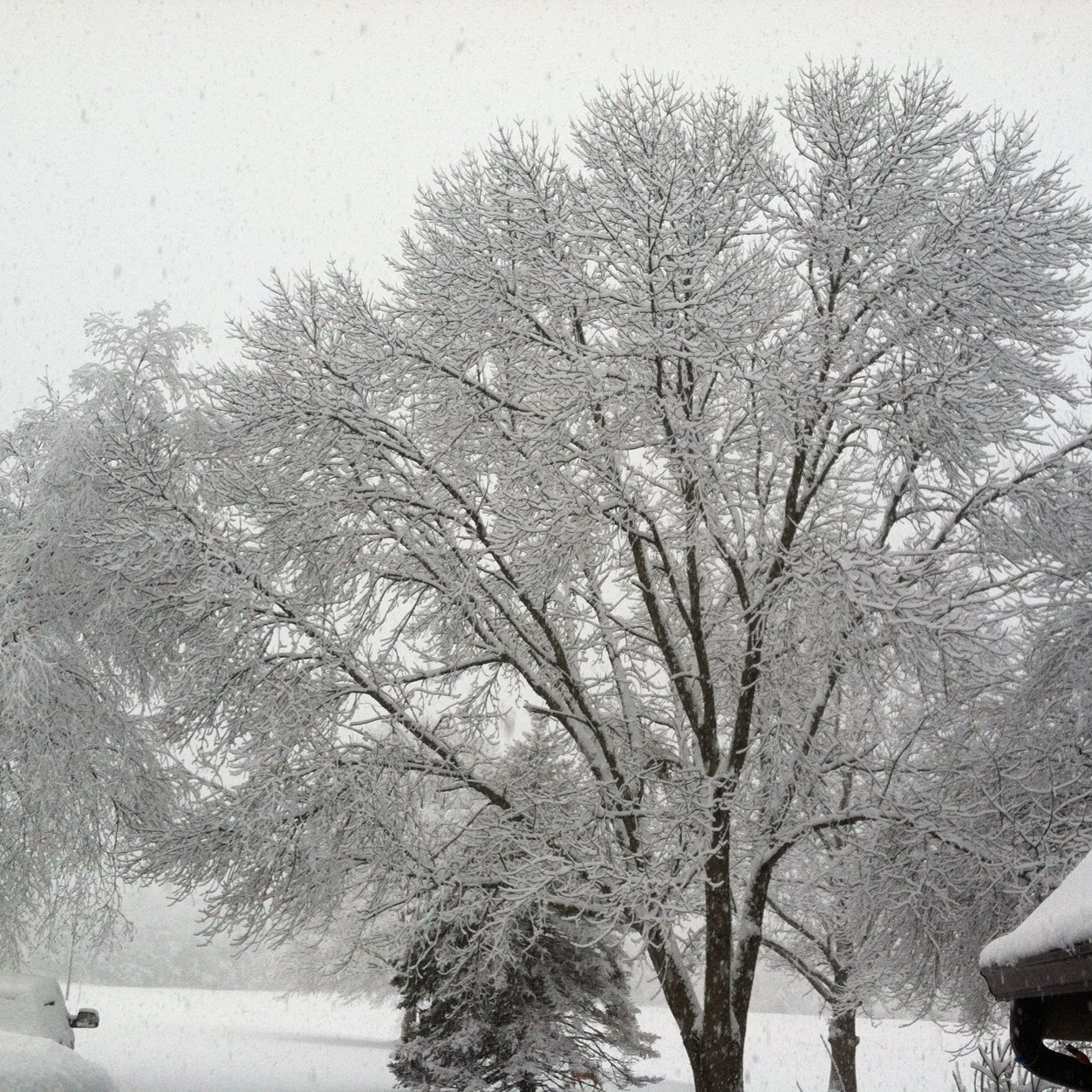 JulieMcCall13's profile picture. 