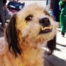 Elmalcharlao's profile picture. Soy bipolar, a veces soy @elmalcharlao, a veces @elmalescribido  y en mis tiempos de rata @elmalparido