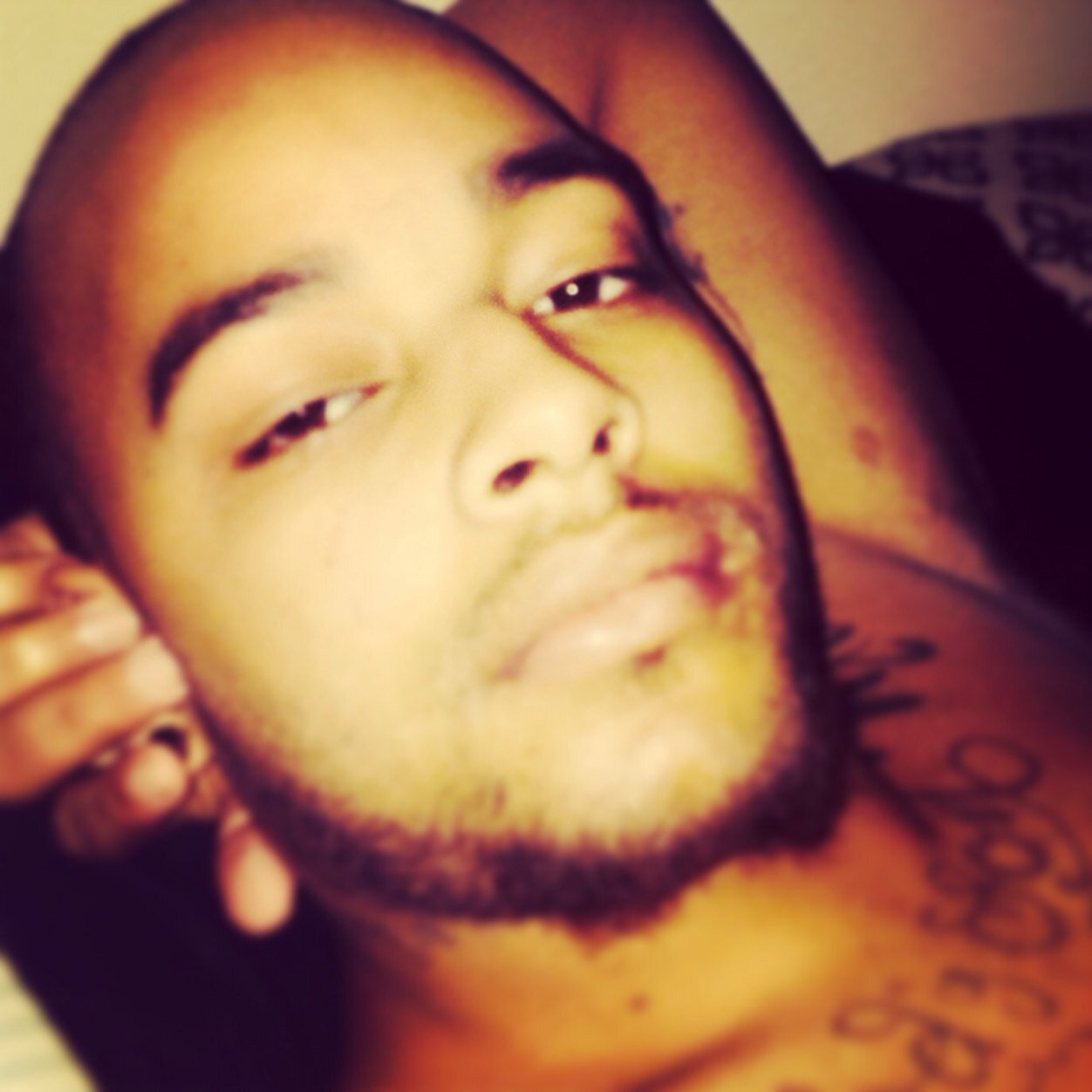 StauntonBridge5's profile picture. 