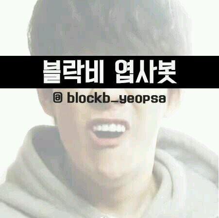 블락비엽사봇(2013.02.12~ing)// 110415 내사랑들