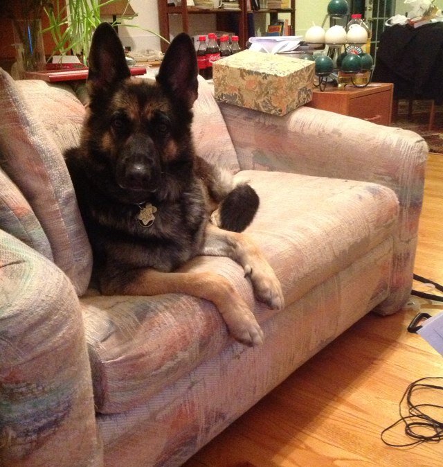 rowdyr2's profile picture. Reader.    Basketball fan.