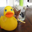 Evan Lee-To - @EvanLeeTo - Twitter