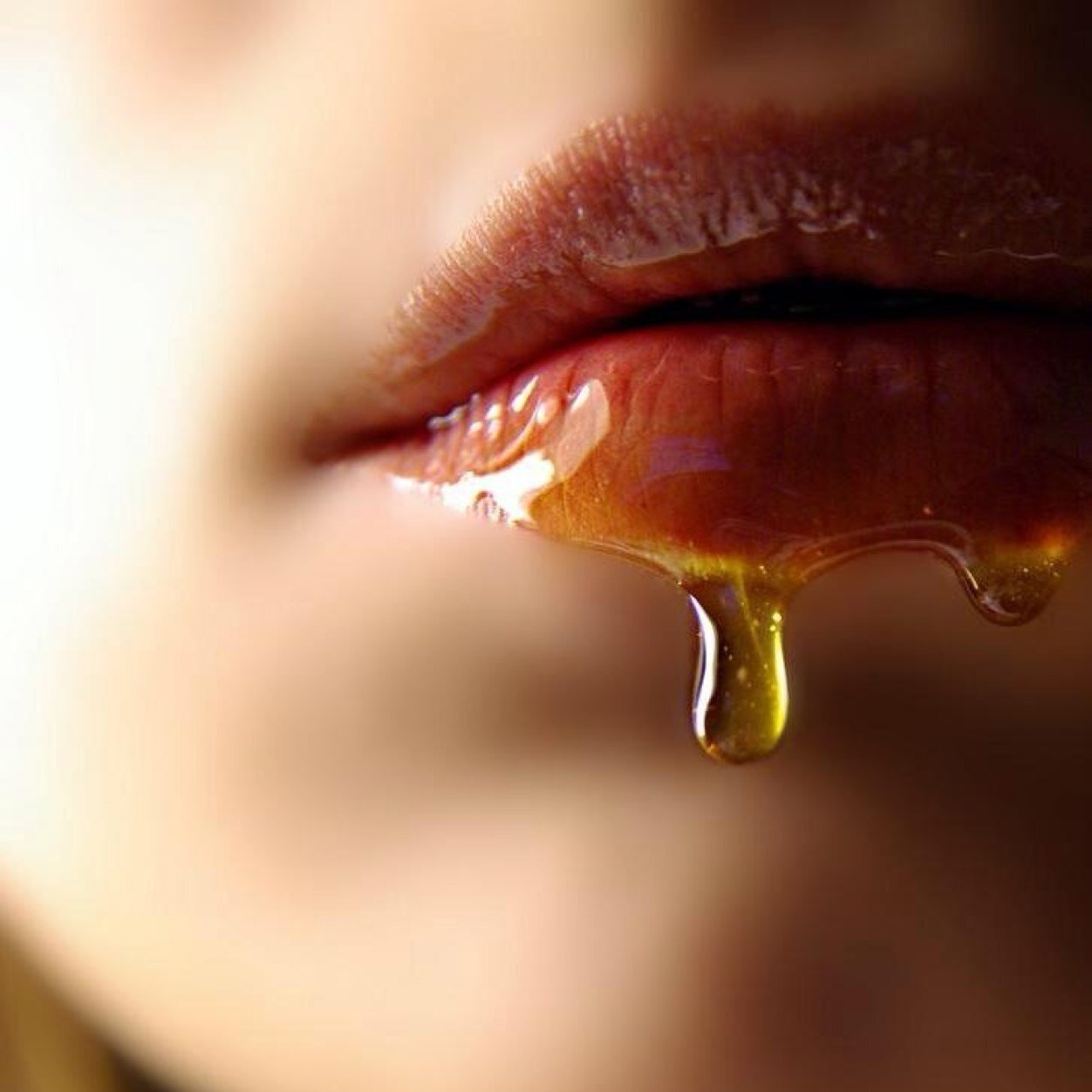 zzr1400ka's profile picture. 