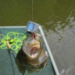 somdFlyFishing's profile picture. Southern Maryland Fly Fishing is your local fly fishing outfitter, focused on providing quality instruction and gear to our customers at the right cost.