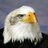 baldeagles2's profile image