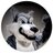 WestHillsASB's profile image