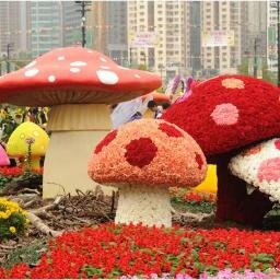 lalbaghgarden's profile picture. flower shows organized at the LalBagh Botanical Garden on independence and republic day.The flower show is the most awaited events in the Garden City.