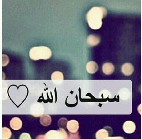 وكلما حمدناك يا اللہ وجدنا منك 
   ما يرضينا ﻓ الحمدللہ دائمًا

الخااااااص ممنوووووووووووووووووووع