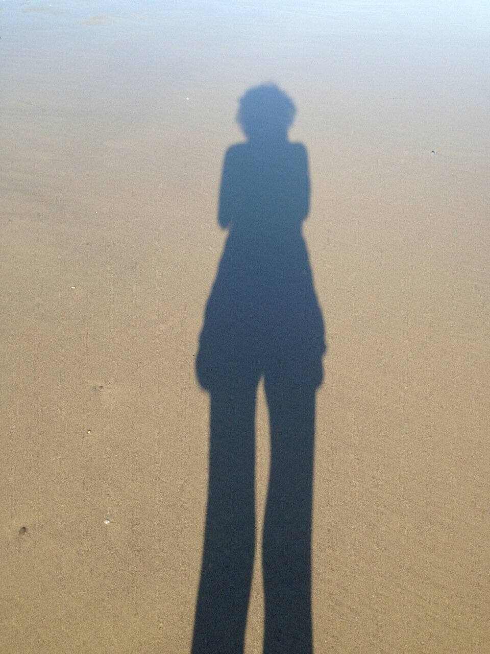 proWE_power's profile picture. 