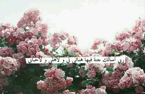 al7alanono's profile picture. ✺☄ۆٱ  ڜۆڨٱه ڵـمـڼ ۑڑٱڼـے ۆڵـٱ ٱڑٱٱه ٱڵـڵـهمـ إڼـٱ ڼـښأڵـڱ ڵـڎة ٱڵـڼـڟڑ ڵـۆڃهڱ ٱڵـڱڑۑمـ☄✺