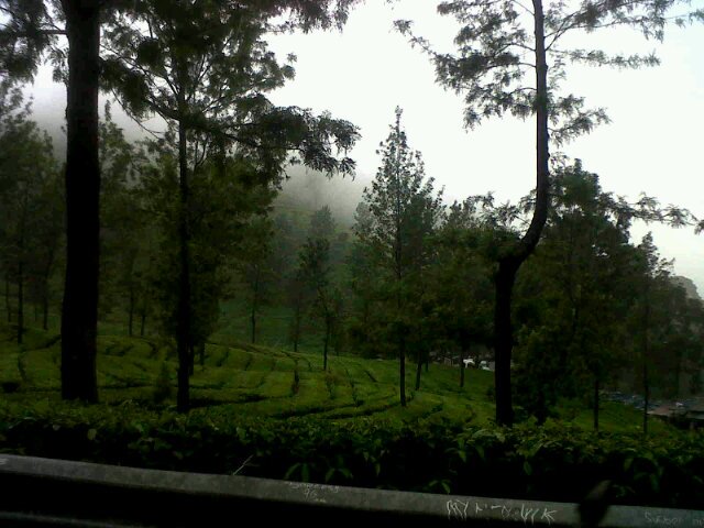 NiceDoll10's profile picture. I'm Muslimah,A wife,Mother of 4 Children,ISLAM Salafi Ahlus Sunnah Waljama'ah manhaj Salafus Shalih,seorg yg msh terus mencari ilmu utk kehidupan akhirat