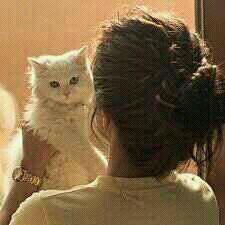 1234Shly's profile picture. ‏‏​​ يتحححدثون بثقہ'ه عن *: ﺎالمععزهہ هُ
   ۈيمارسسون ﺎلمصلحهہَ؛/ #ﺑﺎبداع.. ♡̷
البعض يرحل اذا انتھى من حاجتہ  ..