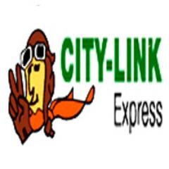 CityLinkExpres's profile picture. International Air Express Distribution & Logistics Services
