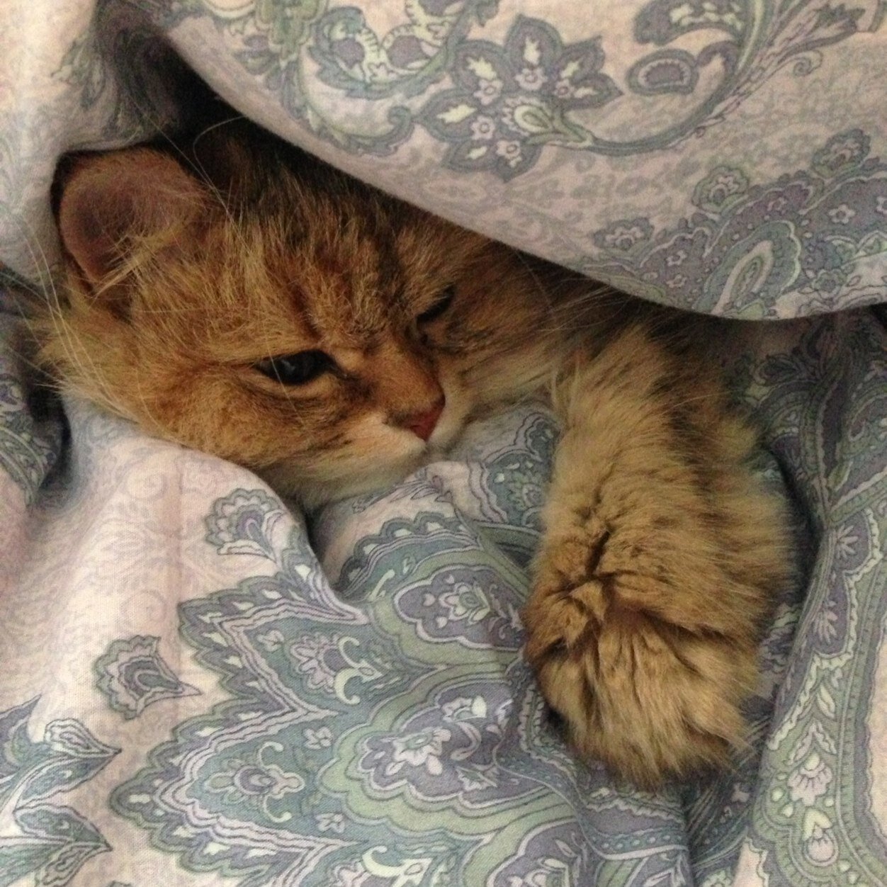 akki_126's profile picture. 