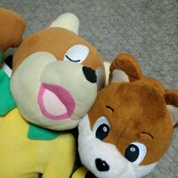 まな吉 (@manajef) 's Twitter Profile