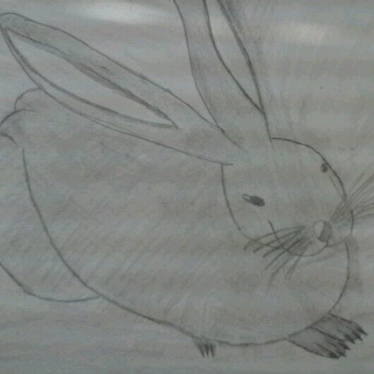 ca12589727's profile picture. 