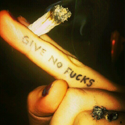 tpolchez's profile picture. 