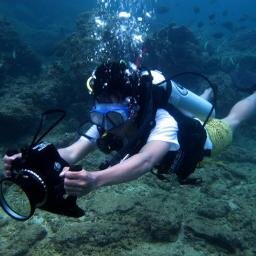 dad | husband | entrepreneur | diver | lecturer -PT Kudu Data Digital- IG: @kudukomunikasi.id @sekolahmilikpublik @yukmagang.id @hoopjourney.id