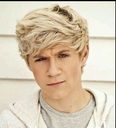 Follow me if u like Niall. just a count how many people love Niall. follow me Niall. I don't need any one direction member to follow me. I just need you.