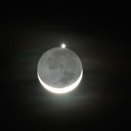 halaalcape's profile picture. 