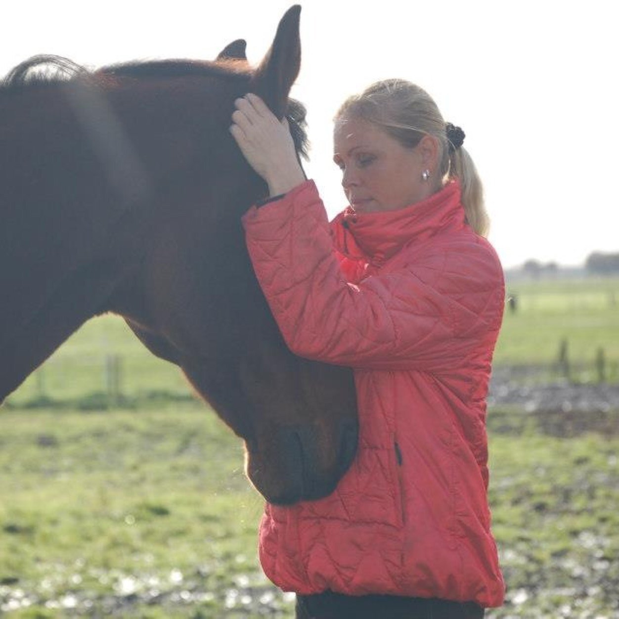 o_sonja's profile picture. 