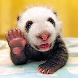 SocietyBelow's profile picture. A playground for people like us. Share/Communicate/Interact undergroundsocietyx@gmail.com