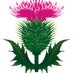 Farm Stock Scotland (@farm_stock) Twitter profile photo Farm Stock Scotland (@farm_stock) Twitter profile photo