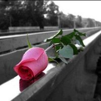 tariq (@tariq_115) Twitter profile photo