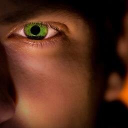eye of a tiger