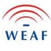WEAF Chief Executive (@weafchief) Twitter profile photo WEAF Chief Executive (@weafchief) Twitter profile photo