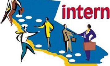 An internship can be a method of on-the-job training for white-collar and professional careers, yet there are no formal standards defining them as such