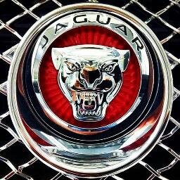 For lovers of Jaguar's fast cat // #FTYPE #FTYPECOUPE
