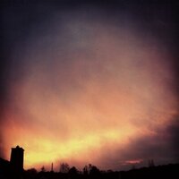 Whisper Whales (@whisperwhales) 's Twitter Profile Photo