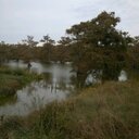 Jerry Maxwell - @jmaxwell32265 - Twitter