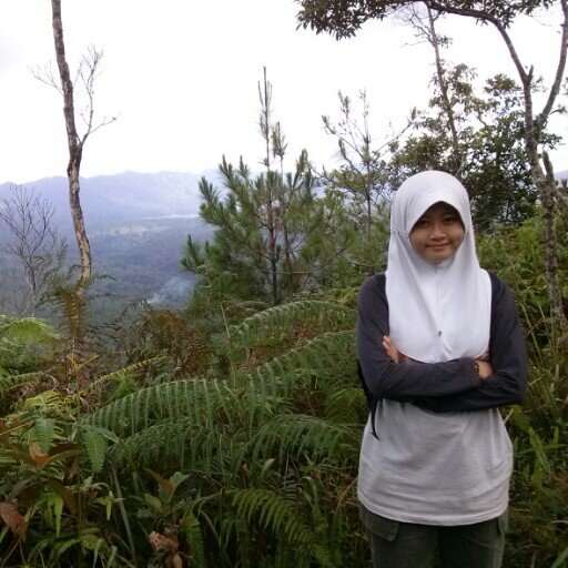 satrianarella's profile picture. 