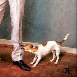 studio_JTB's profile picture. #graphiste #webdesigner #freelance | #typo lover  | #wordpress addict