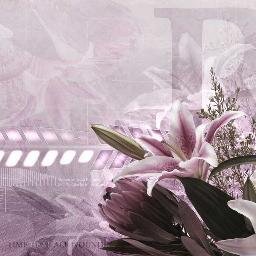 FhKabir's profile picture. 