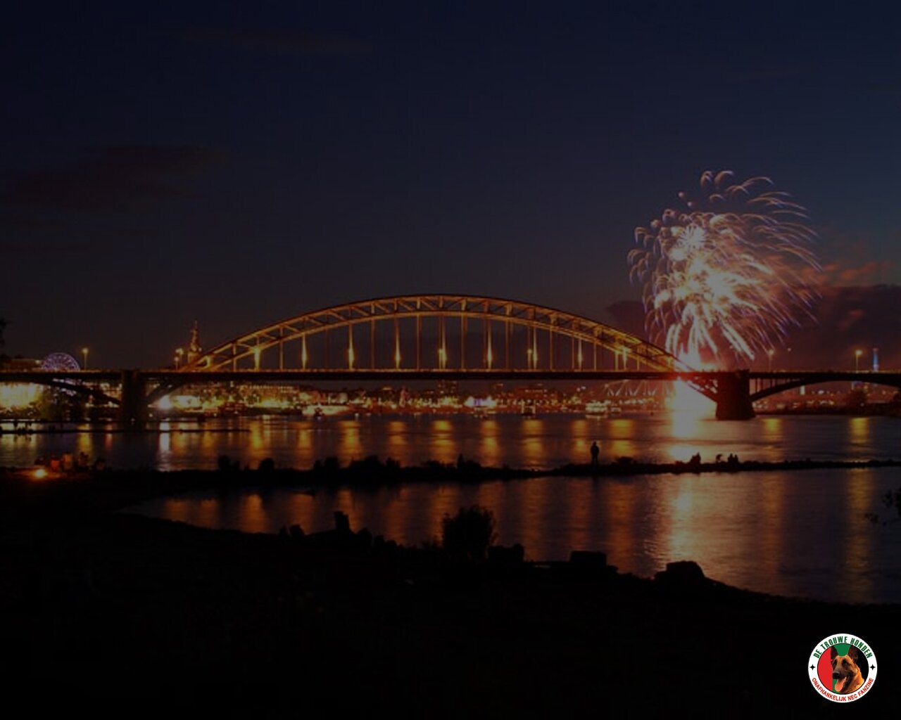 TomHLD's profile picture. NEC Nijmegen, Koi, Films, zaalvoetbal