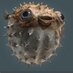 David Commeillas (@davidcomme) Twitter profile photo David Commeillas (@davidcomme) Twitter profile photo